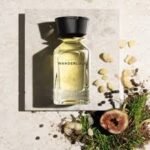 ⁦عطر ميفيستو جنتيلومو من زيرجوف كازاموراتي ⁩ - الصورة ⁦2⁩